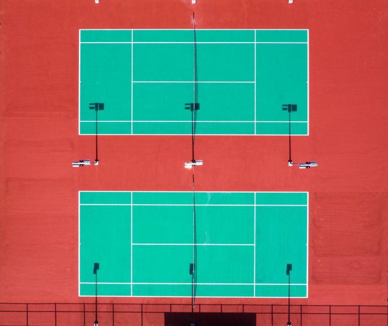 龙头马女子围甲热度空前 百余万棋迷云端观战热情爆棚