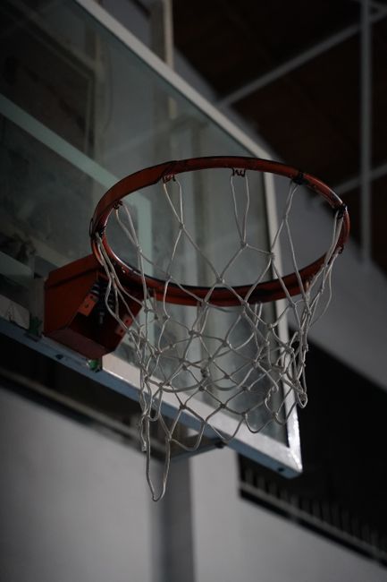 扇倒赵鸿刚的阿曼塔耶夫拜师鸽武缘