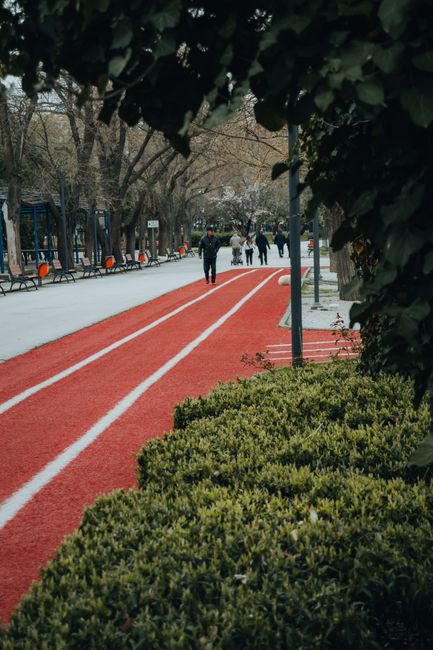 大塞登顶刷纪录，弗里茨又丢冠，郑钦文遇强敌
