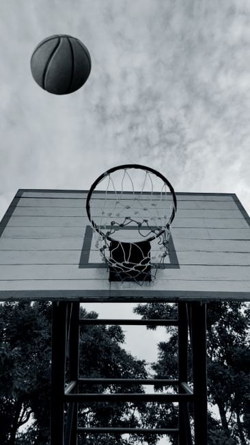 妇唱夫随!王昶将免试入读宁波大学硕士研究生,事业学业爱情全丰收